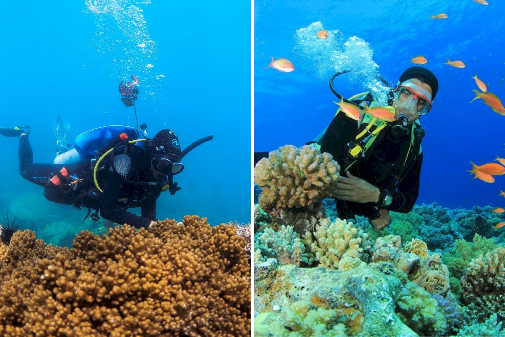 Travelers can explore the dazzling, colorful underwater world of coral reefs at Eo Gio Beach